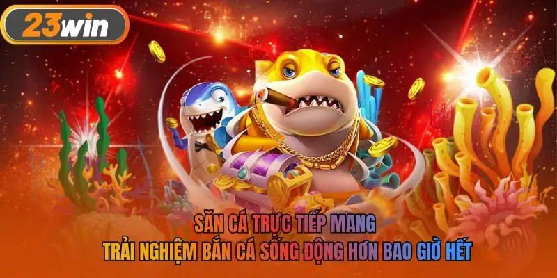 Săn cá trực tiếp mang trải nghiệm bắn cá sống động hơn bao giờ hết